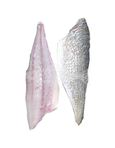 corvina 1,2 a 1,5Kg aprox