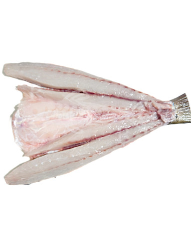 corvina 1,2 a 1,5Kg aprox