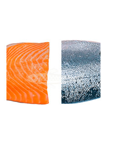 Salmón Mediano (4/5kg pieza ) deventa por 0,500Gr aprox