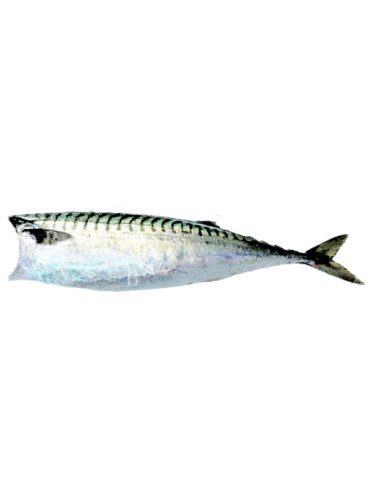 Caballa