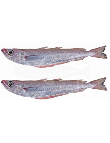 500Gr Maira, lirio, bacalailla