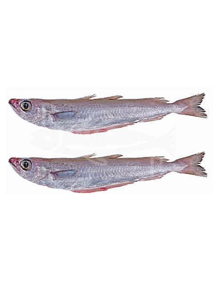 500Gr Maira, lirio, bacalailla