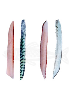 BLW  Caballa 4 BARRITAS PACKS