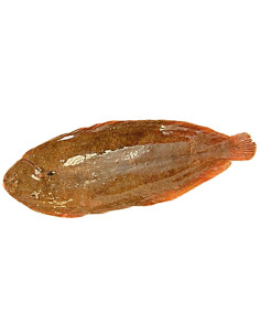 180 a 200Gr Lenguado nacional