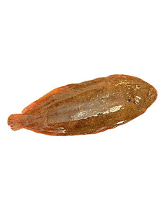 280 a 300Gr Lenguado Nacional