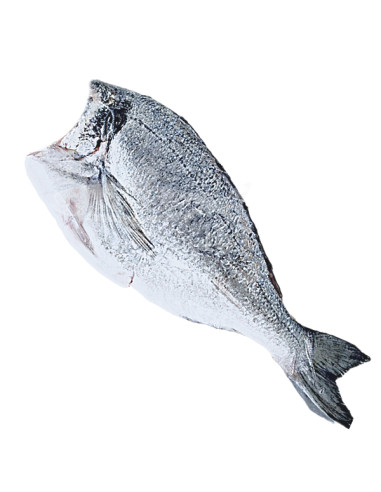 700Gr de Dorada ECO del Mediterráneo