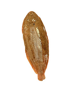 450Gr Lenguado de Vilanova