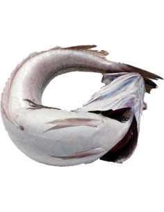 500g de Pescadilla