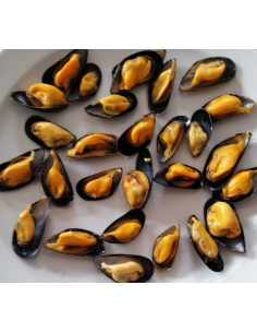 Mejillón Roca  del delta del Ebro. (250 Gr) 2