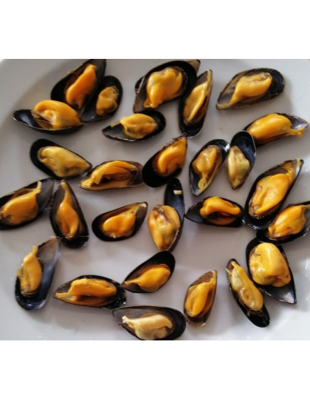 Mejillón Roca  del delta del Ebro. (250 Gr)