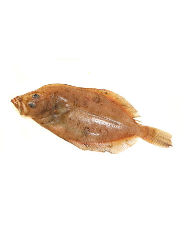 Gallo extra de 1kg