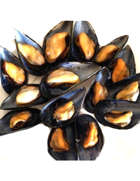 Mejillón Grande. (250 Gr)
