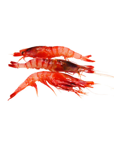 Gamba Roja. (250 Gr)
