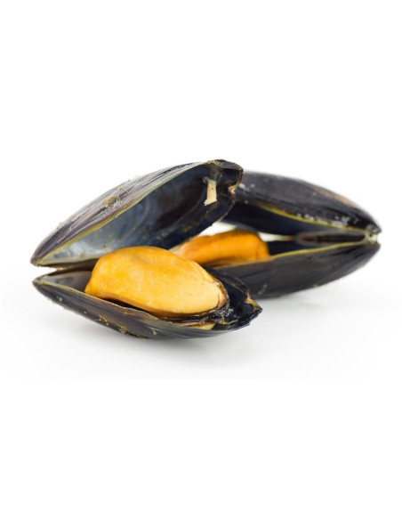 Mejillón Grande. (250 Gr)