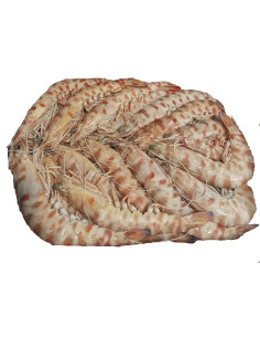 CAJA DE LANGOSTINO TUNEZ Nº1