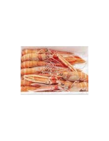 Cigala congelada nº0 (1,5kg 15 a 19u)