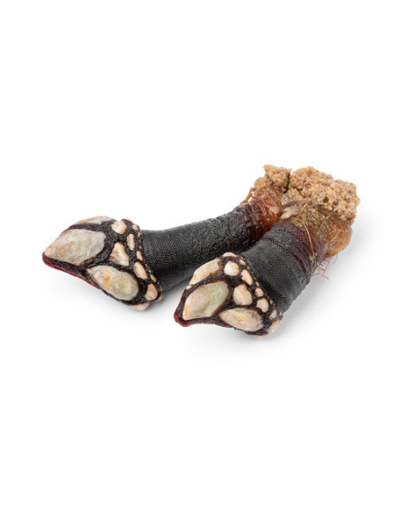 Percebe Gallego  (500g)