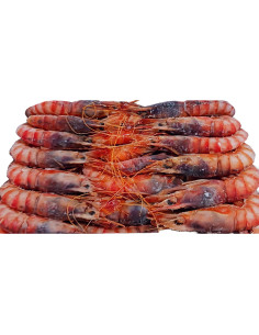 Gamba roja A1( G ) (Caja 1,1kg)