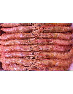 GAMBA LANGOSTINERA N2 (Gambón) (2kg)