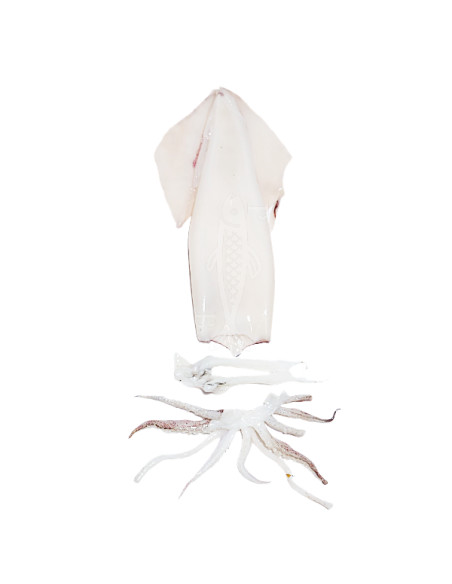 500Gr Calamar mediterraneo