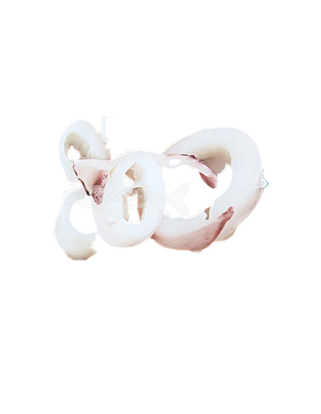 500Gr Calamar mediterraneo