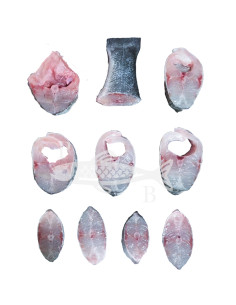 corvina 1,2 a 1,5Kg aprox 2