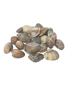 Almeja, mediana 250Gr