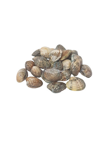 Almeja, mediana 250Gr