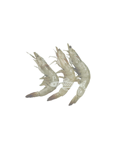 Langostino  (250 Gr)