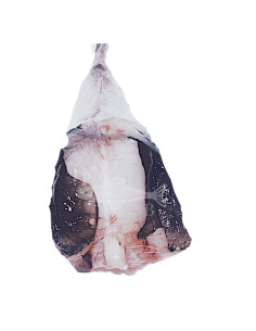 Cola de rape (1,5 Kg aprox)