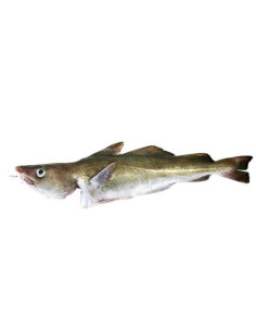 1kg de Bacalao freco