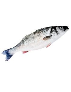 700Gr de Lubina ECO del Mediterráneo