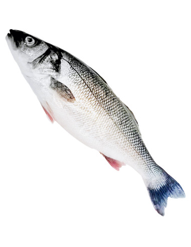 700Gr de Lubina ECO del Mediterráneo