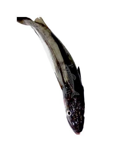 1kg de Merluza - Palangre pincho