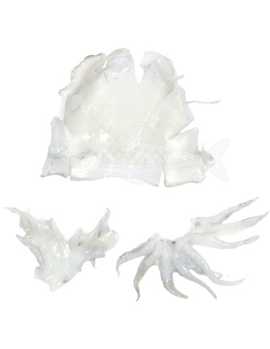 Sepia Mediterráneo (600Gr)